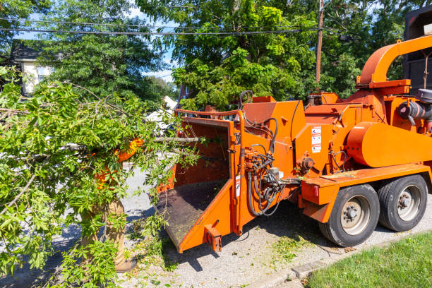 Best Tree Cutting Near Me  in Weatherford, OK